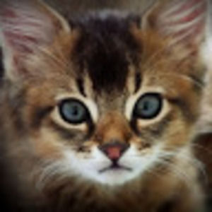 Meet your Posher, Jacob